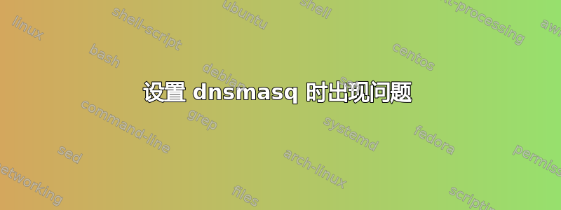 设置 dnsmasq 时出现问题