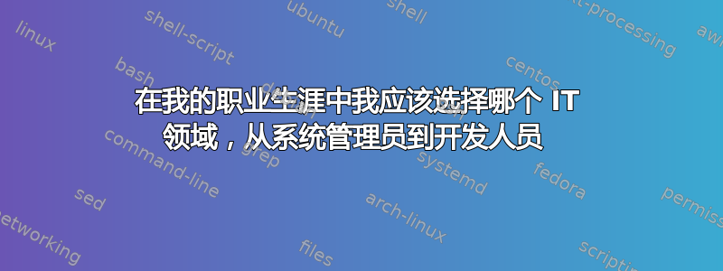 在我的职业生涯中我应该选择哪个 IT 领域，从系统管理员到开发人员 