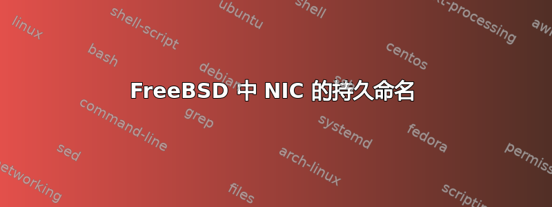 FreeBSD 中 NIC 的持久命名