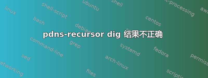 pdns-recursor dig 结果不正确