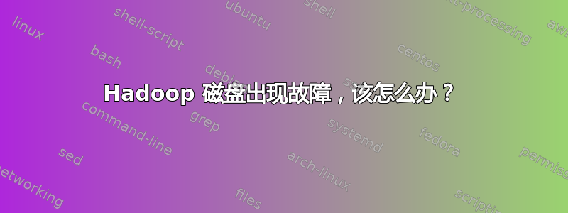 Hadoop 磁盘出现故障，该怎么办？