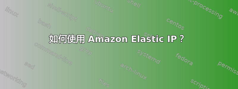 如何使用 Amazon Elastic IP？