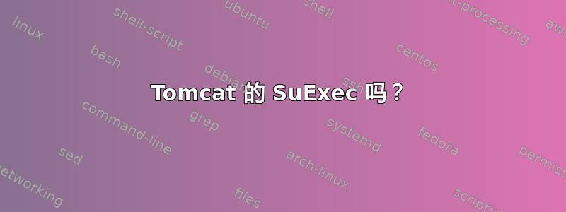 Tomcat 的 SuExec 吗？