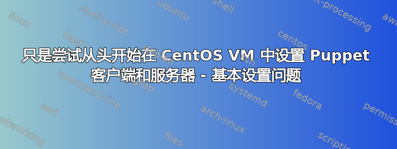 只是尝试从头开始在 CentOS VM 中设置 Puppet 客户端和服务器 - 基本设置问题