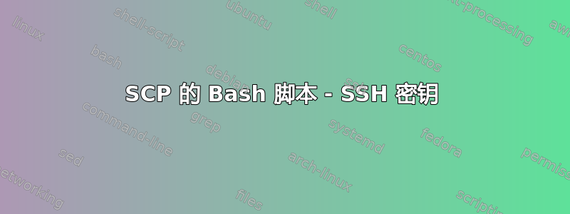 SCP 的 Bash 脚本 - SSH 密钥