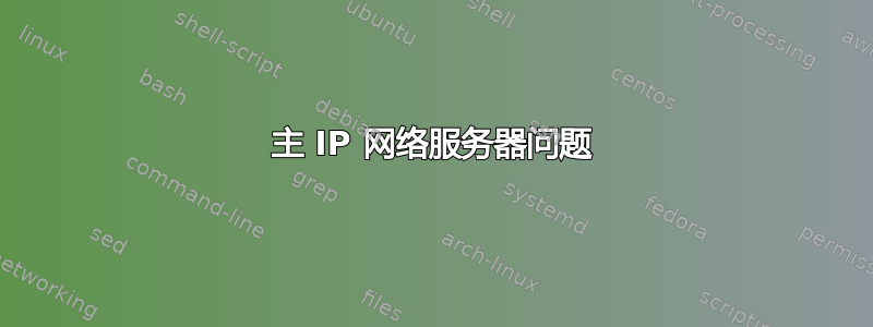 主 IP 网络服务器问题