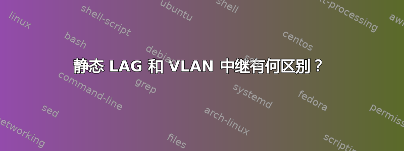 静态 LAG 和 VLAN 中继有何区别？