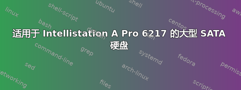 适用于 Intellistation A Pro 6217 的大型 SATA 硬盘