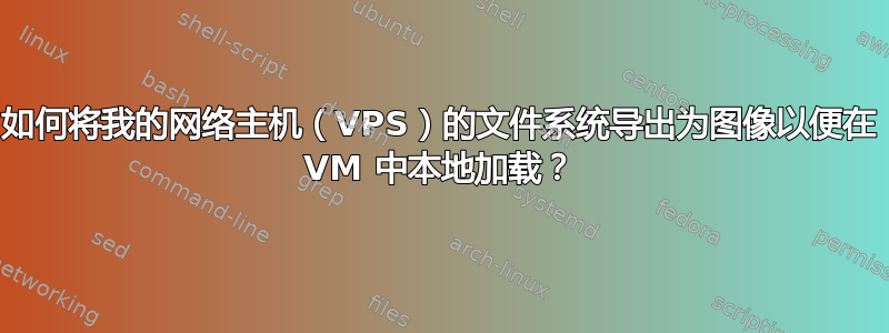 如何将我的网络主机（VPS）的文件系统导出为图像以便在 VM 中本地加载？