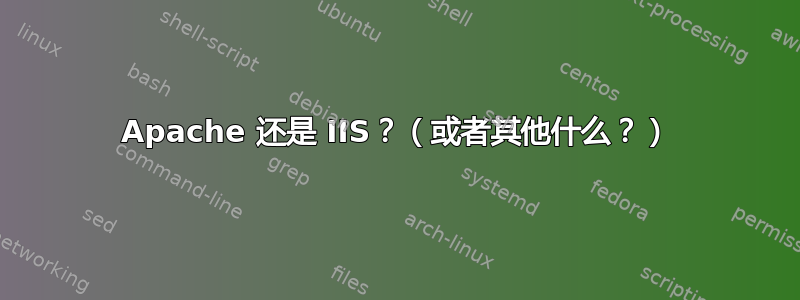 Apache 还是 IIS？（或者其他什么？）