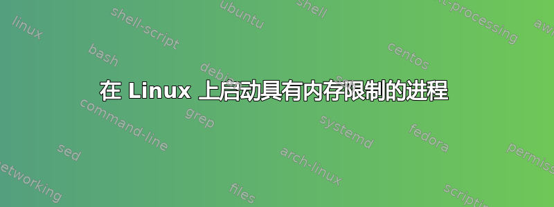 在 Linux 上启动具有内存限制的进程