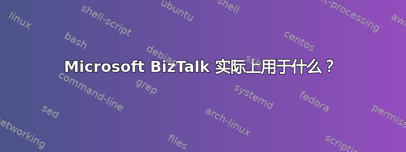 Microsoft BizTalk 实际上用于什么？