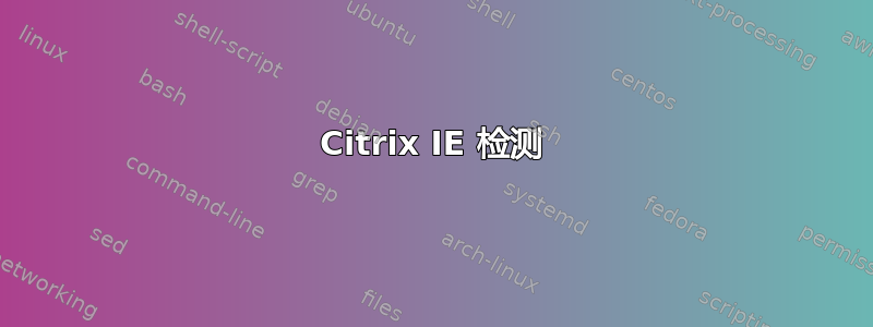 Citrix IE 检测