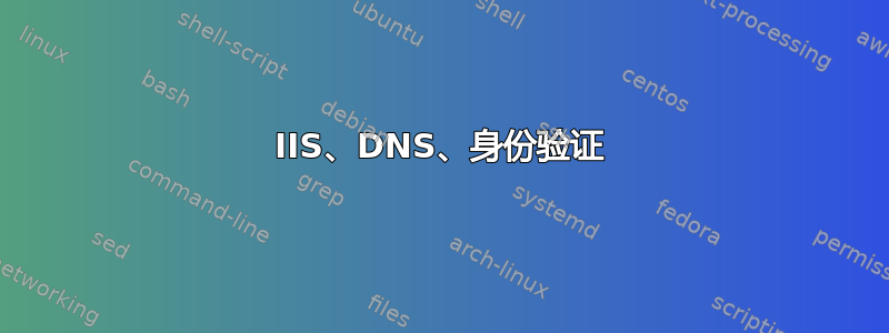 IIS、DNS、身份验证