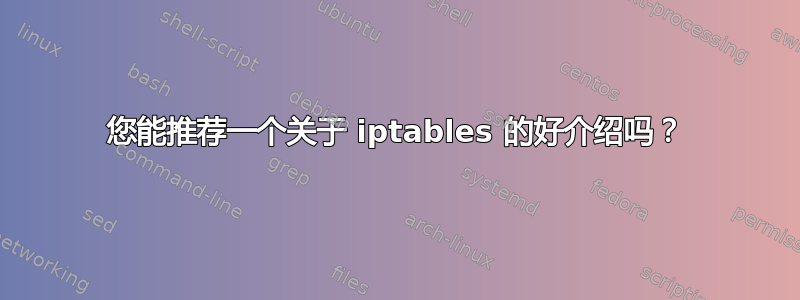 您能推荐一个关于 iptables 的好介绍吗？