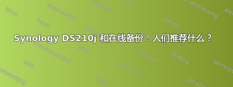 Synology DS210j 和在线备份：人们推荐什么？ 