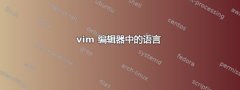 vim 编辑器中的语言