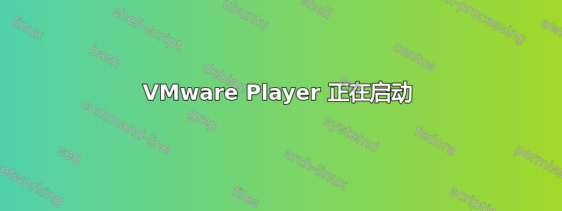 VMware Player 正在启动