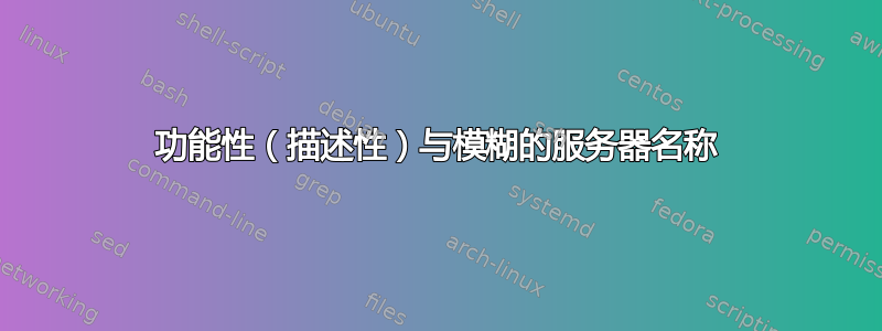 功能性（描述性）与模糊的服务器名称