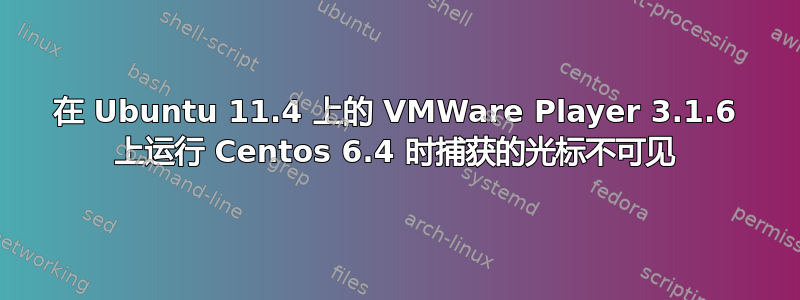 在 Ubuntu 11.4 上的 VMWare Player 3.1.6 上运行 Centos 6.4 时捕获的光标不可见