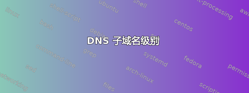 DNS 子域名级别