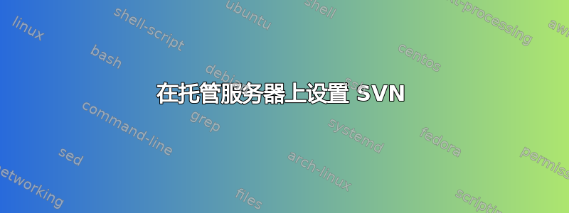 在托管服务器上设置 SVN