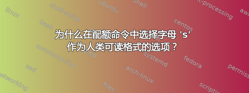 为什么在配额命令中选择字母 's' 作为人类可读格式的选项？