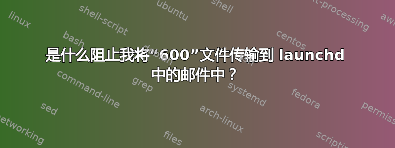 是什么阻止我将“600”文件传输到 launchd 中的邮件中？