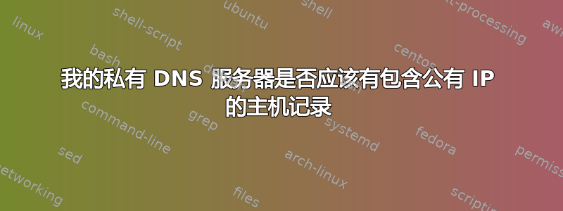 我的私有 DNS 服务器是否应该有包含公有 IP 的主机记录