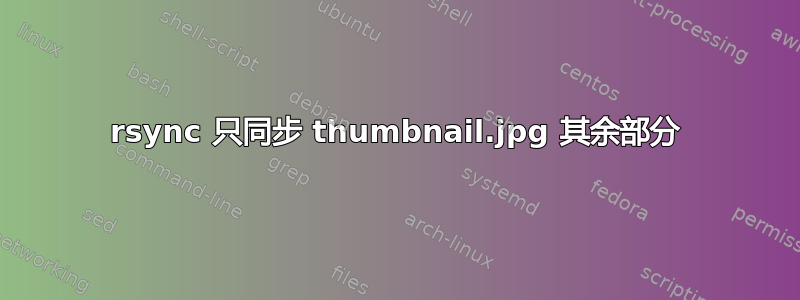 rsync 只同步 thumbnail.jpg 其余部分