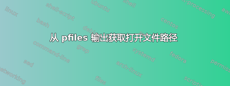 从 pfiles 输出获取打开文件路径