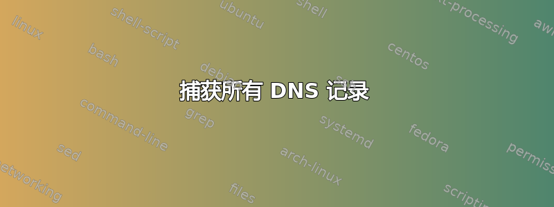 捕获所有 DNS 记录