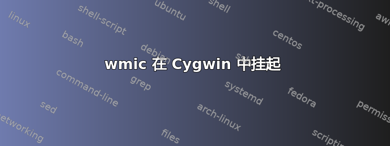 wmic 在 Cygwin 中挂起