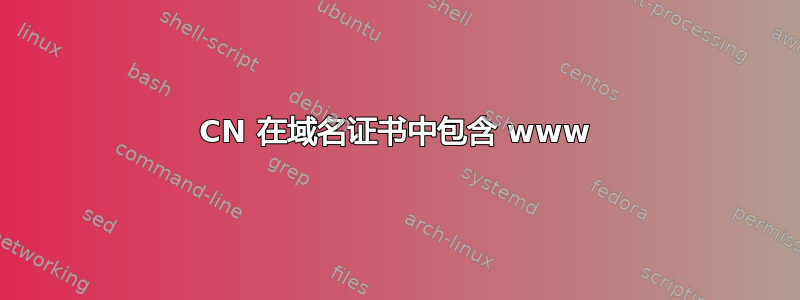 CN 在域名证书中包含 www