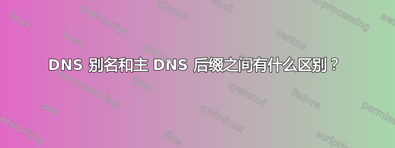 DNS 别名和主 DNS 后缀之间有什么区别？