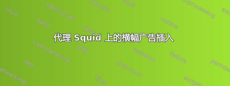 代理 Squid 上的横幅广告插入