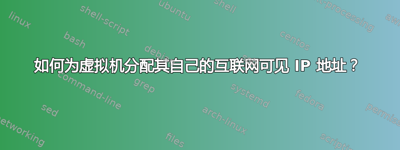 如何为虚拟机分配其自己的互联网可见 IP 地址？