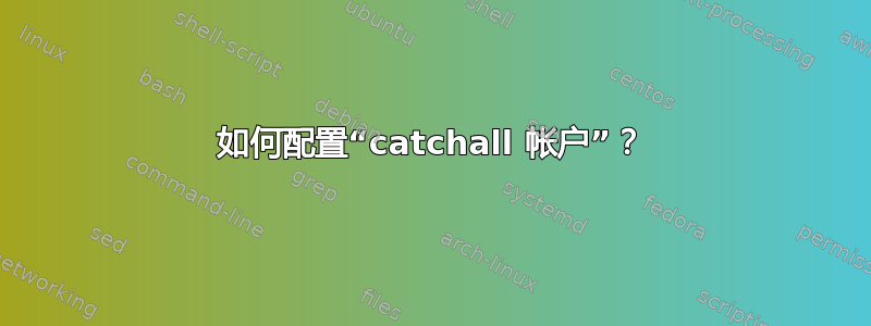 如何配置“catchall 帐户”？