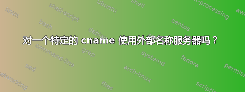 对一个特定的 cname 使用外部名称服务器吗？