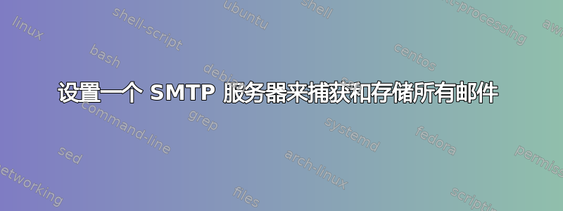 设置一个 SMTP 服务器来捕获和存储所有邮件