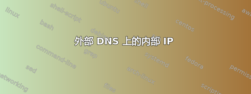 外部 DNS 上的内部 IP