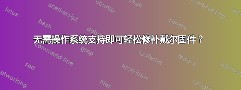 无需操作系统支持即可轻松修补戴尔固件？