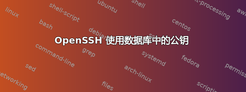 OpenSSH 使用数据库中的公钥