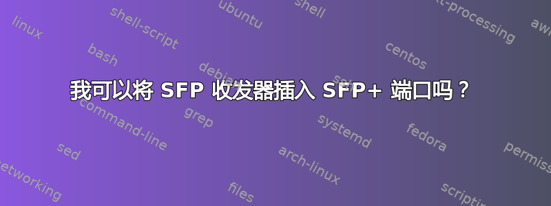 我可以将 SFP 收发器插入 SFP+ 端口吗？