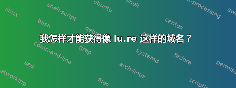 我怎样才能获得像 lu.re 这样的域名？