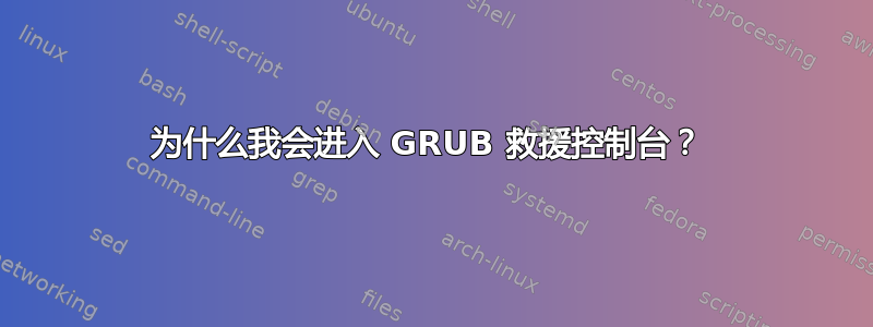 为什么我会进入 GRUB 救援控制台？ 