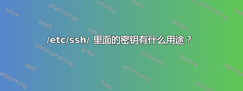 /etc/ssh/ 里面的密钥有什么用途？