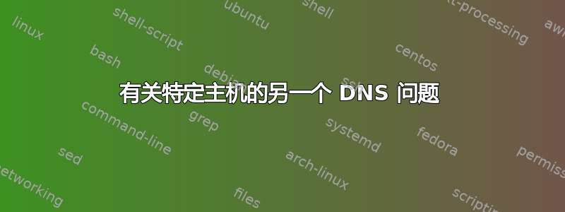 有关特定主机的另一个 DNS 问题