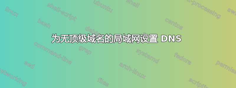 为无顶级域名的局域网设置 DNS