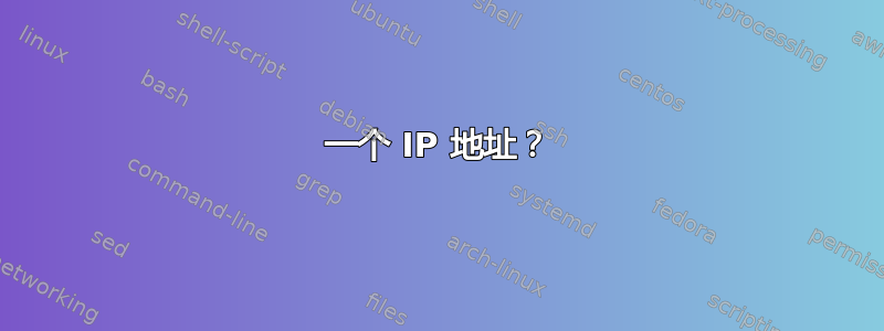 一个 IP 地址？